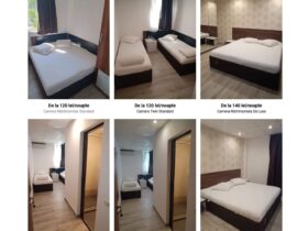 prahovaonline.ro hotel viva cazare moderna si confortabila in ploiesti