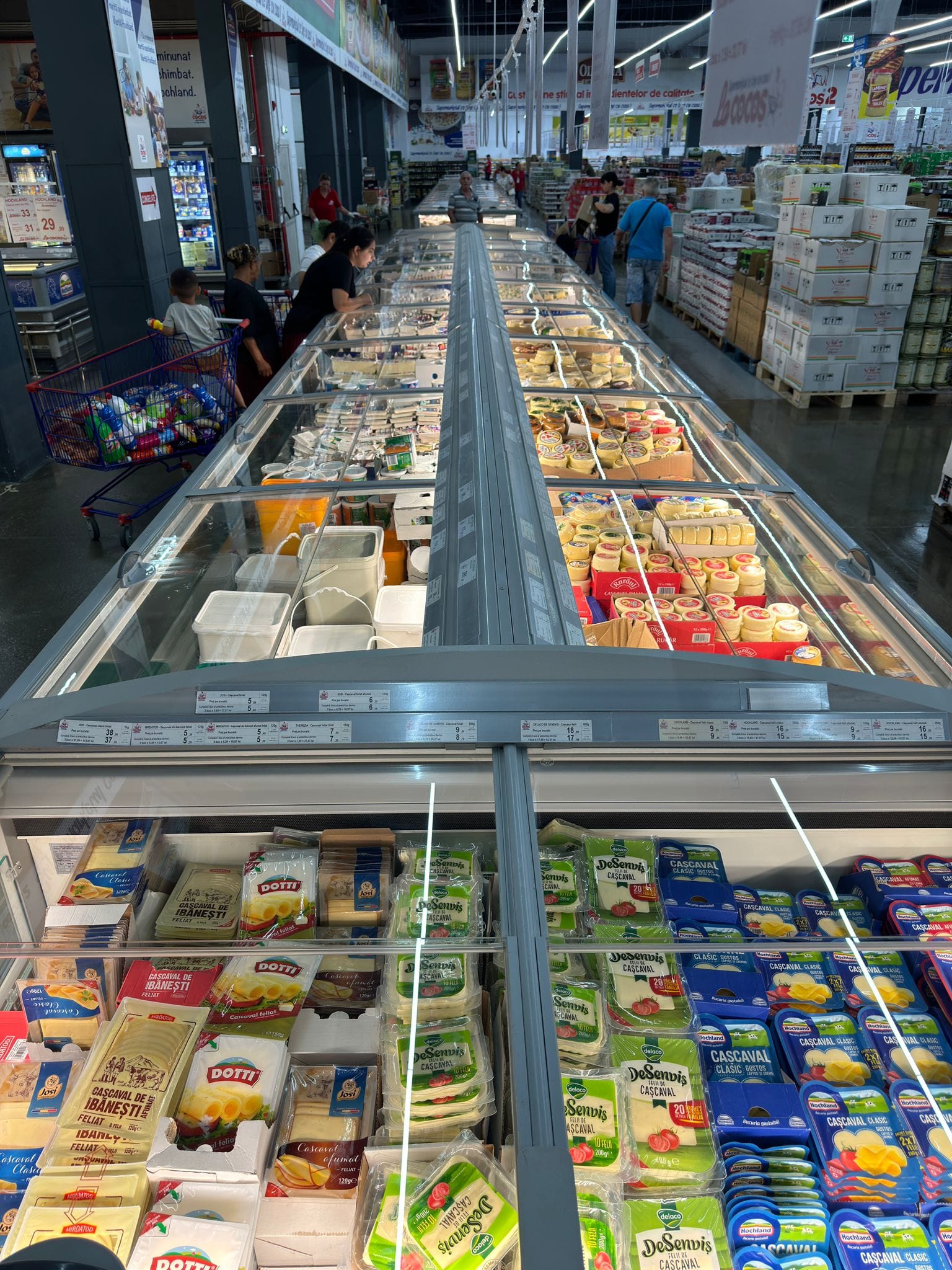 La Cocoș & Lidl: 5 Lecții de Business pentru Antreprenorii Români 25 la cocos lidl 5 lectii de business pentru antreprenorii romani