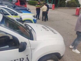 Amendă de 1.500 lei pentru hrănirea urșilor pe Transfăgărășan. Garda Forestieră: "Intensificăm controalele!" 48 amenda de 1 500 lei pentru hranirea ursilor pe transfagarasan garda forestiera intensificam controalele