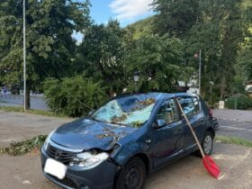 După Furtuna din Sinaia: "Pe muzica drujbelor", un oraș rănit își caută normalitatea 48 Foto: Maria Floricică Facebook