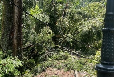 Revoltă la Sinaia: Turiști cu copii, refuzați să se adăpostească în Peleș în timpul furtunii. Motivul este absurd 69 Sursa Foto: Botoaca Maria Monica