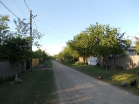 Ulița Copilăriei din Satul Prahovean: Drumul de Praf pe Care Încă Pașim în Vis 42 ulita copilariei din satul prahovean drumul de praf pe care inca pasim in vis