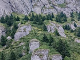 Top 10 Secrete ale Munților Ciucaș: Ghid Complet pentru Trasee, Obiective și Legende 30 top 10 secrete ale muntilor ciucas ghid complet pentru trasee obiective si legende